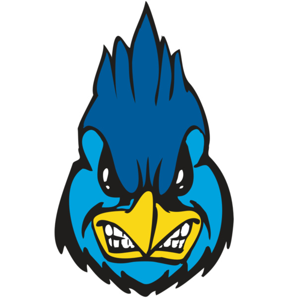 BAW BLUEJAY 02 RC Thumbnail