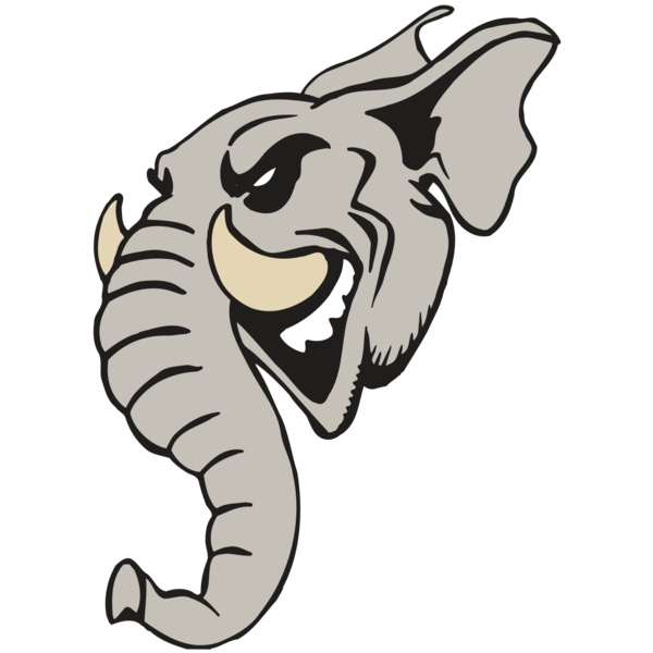 AR5 Elephant 11 RQC Thumbnail