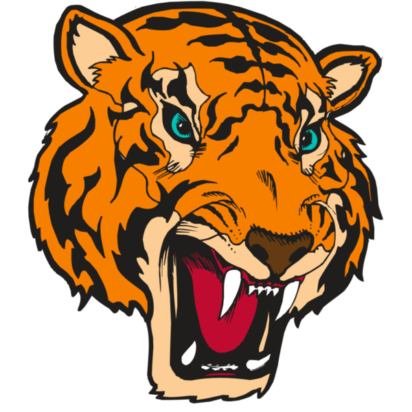 BAW TIGER 12 RC Thumbnail