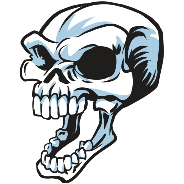 AR24 SKULL 15 RQC Thumbnail